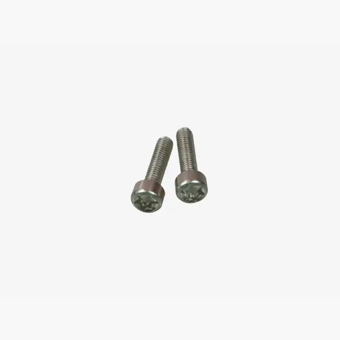 Rohloff &#8211; TX20 screws for clamp for twi