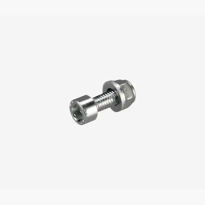 Rohloff - Support Bolt for Axle-plate OEM2 (M6 - incl. nut + washer) (8560)